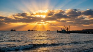 Revachol Bay Sunrise