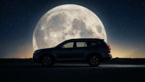 Rexton Moon Silhouette