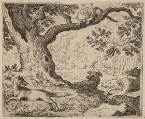 Reynard's Father and the Cat Pursued by Hounds