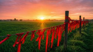 Ribbons of Hope