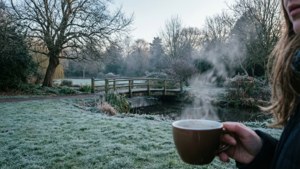 Riddiford Gardens Frost