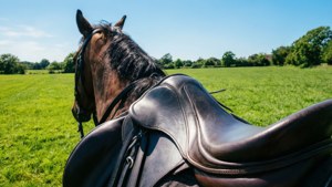 Rider's View Saddle