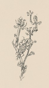 Riesenblattlaus (Giant Aphid) from Deutsche Graphiker der Gegenwart (German Printmakers of Our Time)