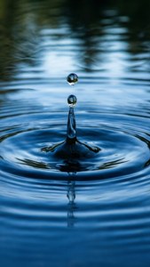 Ripple Effect
