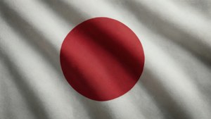 Rising Sun Fabric