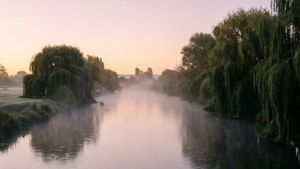 River Dawn Mist