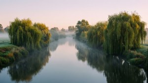 River Morning Mist