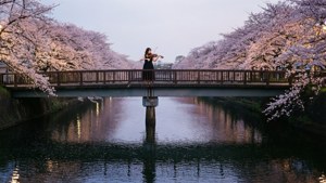 River of Melodies