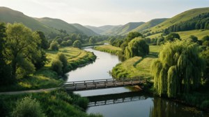 River of Tranquility