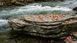 River Rock in Autumn
