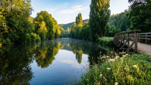 River Sauer Morning Calm