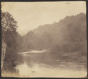 [Riverscape]