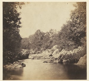 [Riverscape]