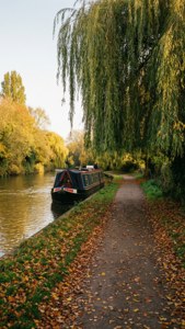 Riverside Autumn