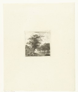 Rivier in boomrijk landschap