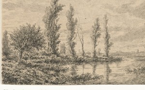 Rivierlandschap