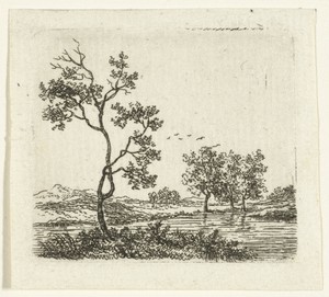 Rivierlandschap met bomen