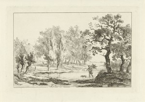 Rivierlandschap met een houtsprokkelaar