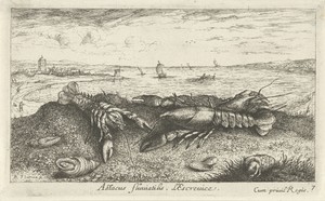Rivierlandschap met rivierkreeften op de voorgrond