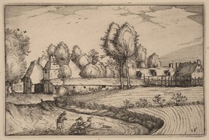 Road along a Field
