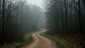 Road into Fog