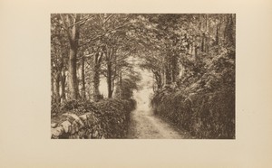 Road Near Ley Abbey