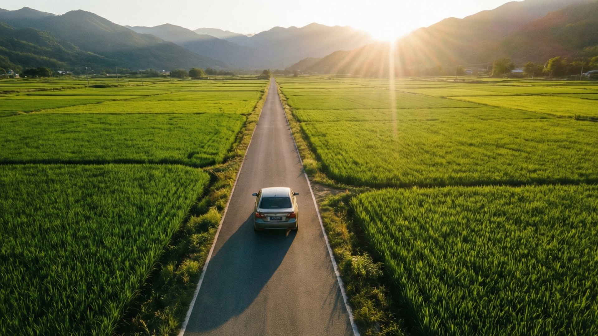 Road Through Rice by Wallpapers.art Studio