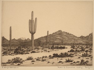 Road to Paradise Valley, Arizona