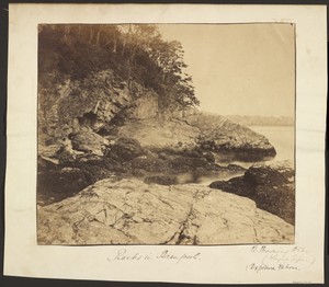 Rocks in Barnpool