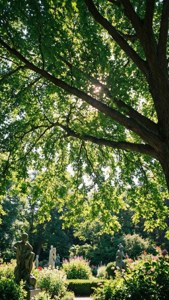 Rockway Canopy