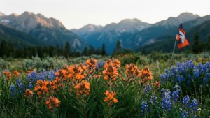 Rocky Mountain Serenity