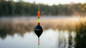 Rod Tip Bobber