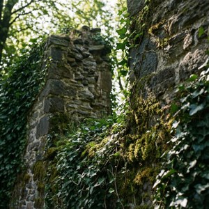 Roermond Old Wall Ruins