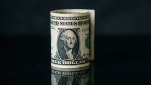 Rolled Dollar Profile