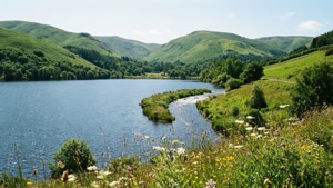 Rolling Hills Lake