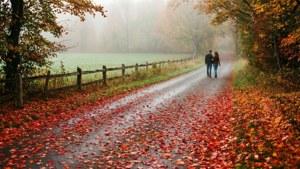 Romantic Autumn Stroll