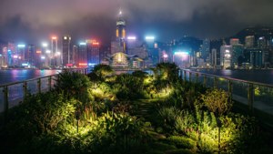 Rooftop Garden Glow