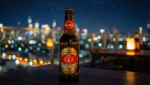 Rooftop Night Glow