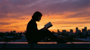 Rooftop Sunset Reader