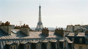 Rooftop View