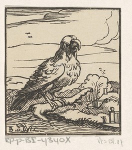 Roofvogel