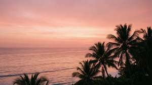 Rose Gold Sunset Serenity