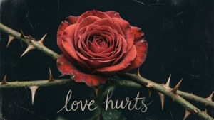Rose in Thorns