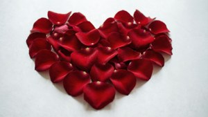 Rose Petal Heart