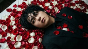 Rose Petal Recline