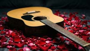 Rose Petal Serenade