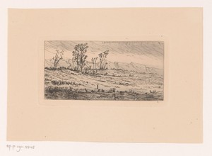 Rotsachtig landschap