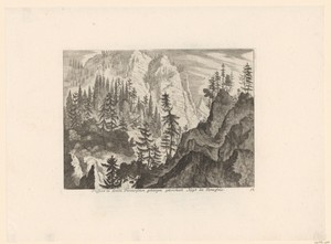 Rotsachtig landschap met naaldbomen