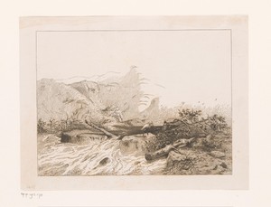Rotsachtig landschap met rivier en reiger
