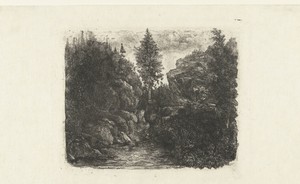 Rotslandschap met beek en bomen